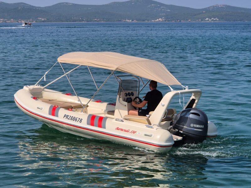 WhatsApp Image 2025-06-13 at 10.20.14