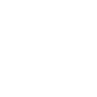 Icon phone